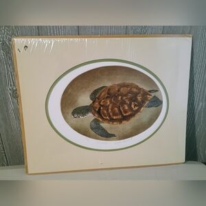 🔥BNIP Dianne Krumel Etched Sealed Ltd Edition 74/500 Signed Print - Sea Turtle